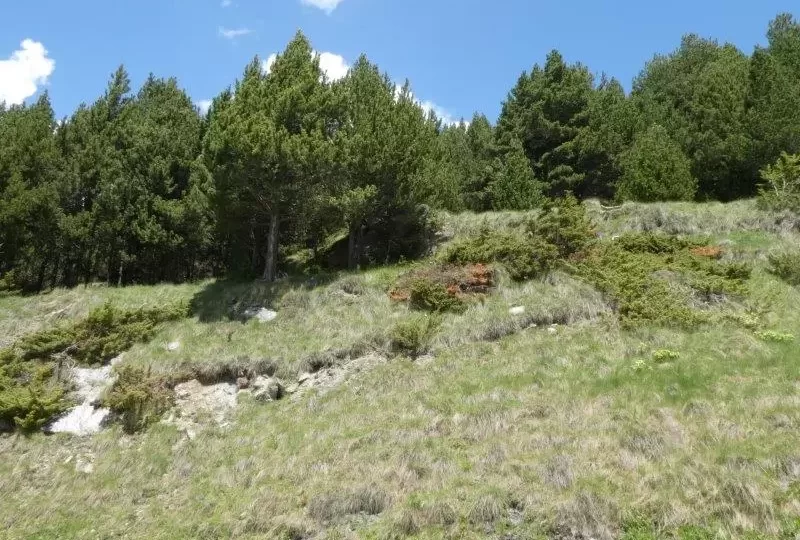 Venta parcelas edificables Canillo